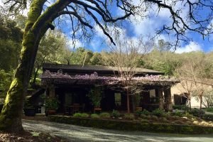 Neyers 2017 Sage Canyon Red in Wine Spectator