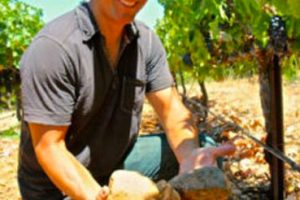 The 2018 Vista Notre Zinfandel