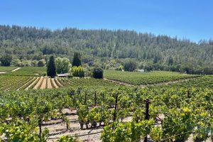 James Suckling offers his perspective