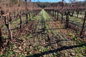 The Harvest Ends So We Begin to Prepare for Next Year